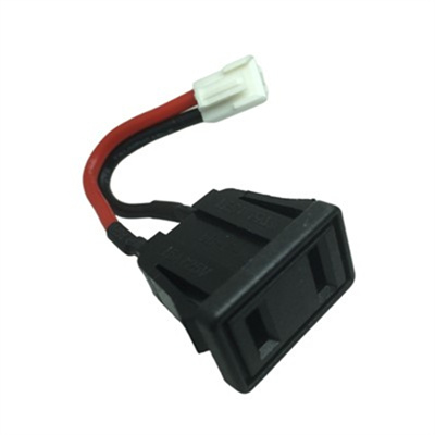 Type A 插（chā）座帶線和端子