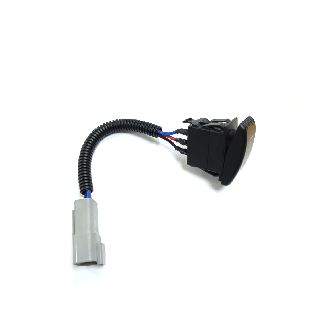 SV係列汽車（chē）帶線翹板開關（guān）