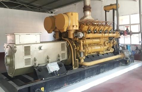 山東東阿沼氣發電（diàn）項目