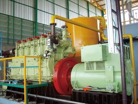 意大利生物質氣項目