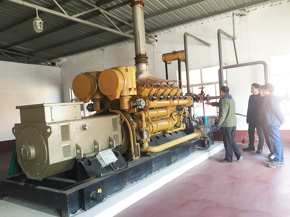 餐（cān）廚垃圾沼氣發電機組