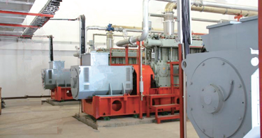 300係列煤製（zhì）煤（méi）氣發電機組