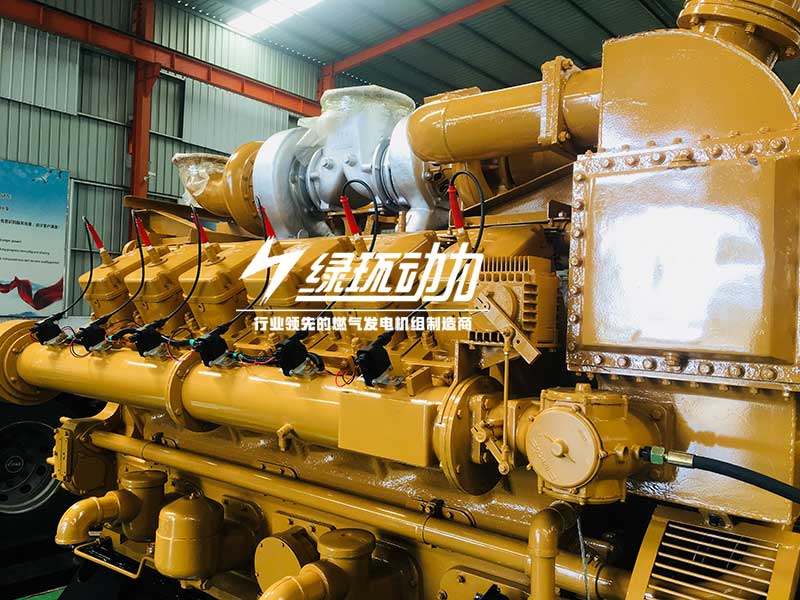 畜牧糞（fèn）便沼氣發電（diàn）機組（zǔ）