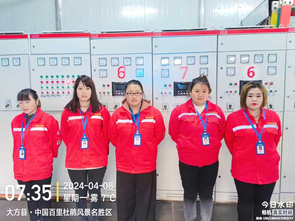 貴州（zhōu）鵬程瓦斯發電項目